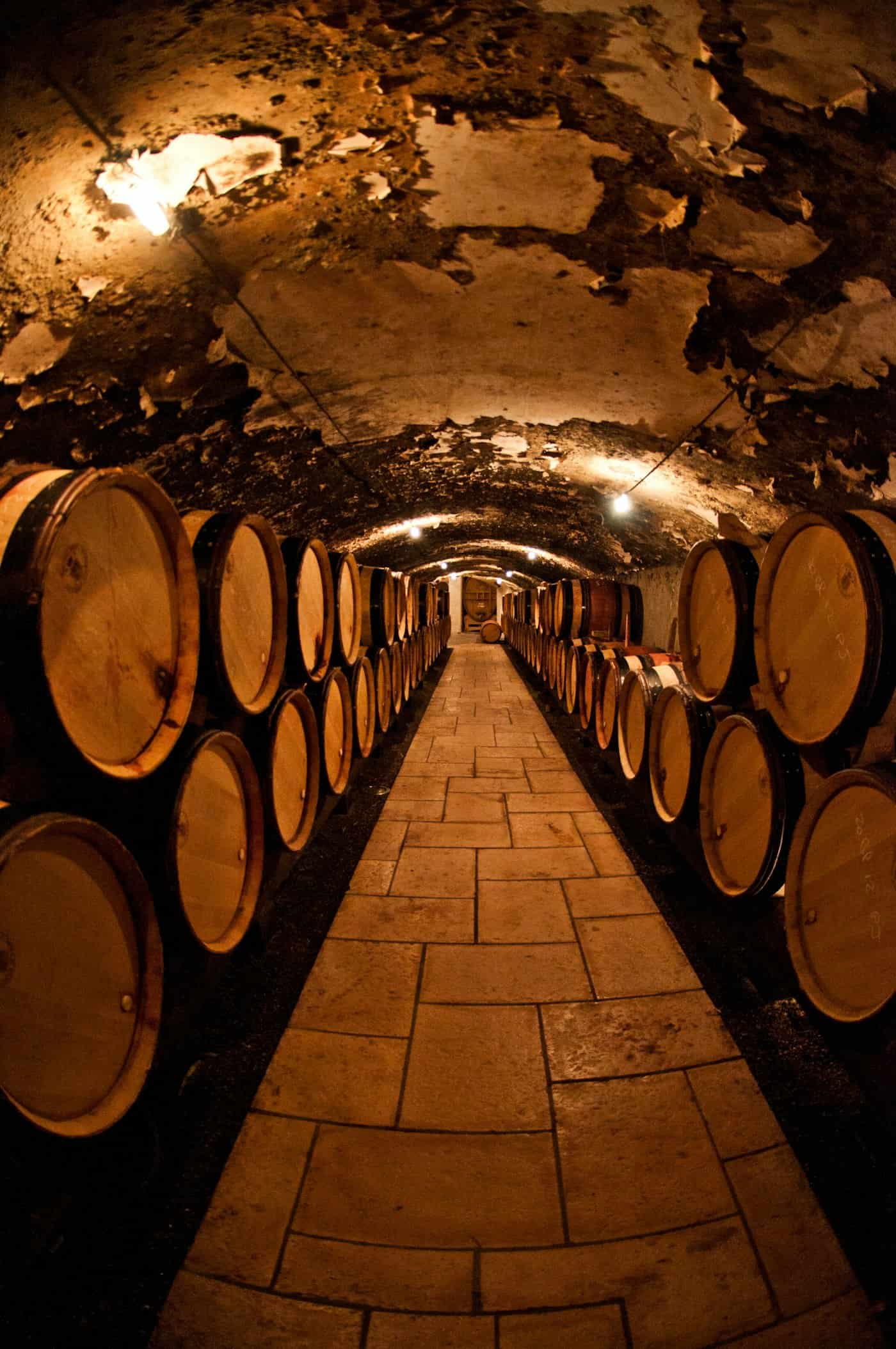 Stacked oak barrels of wine and liquor inside a low-lit cellar