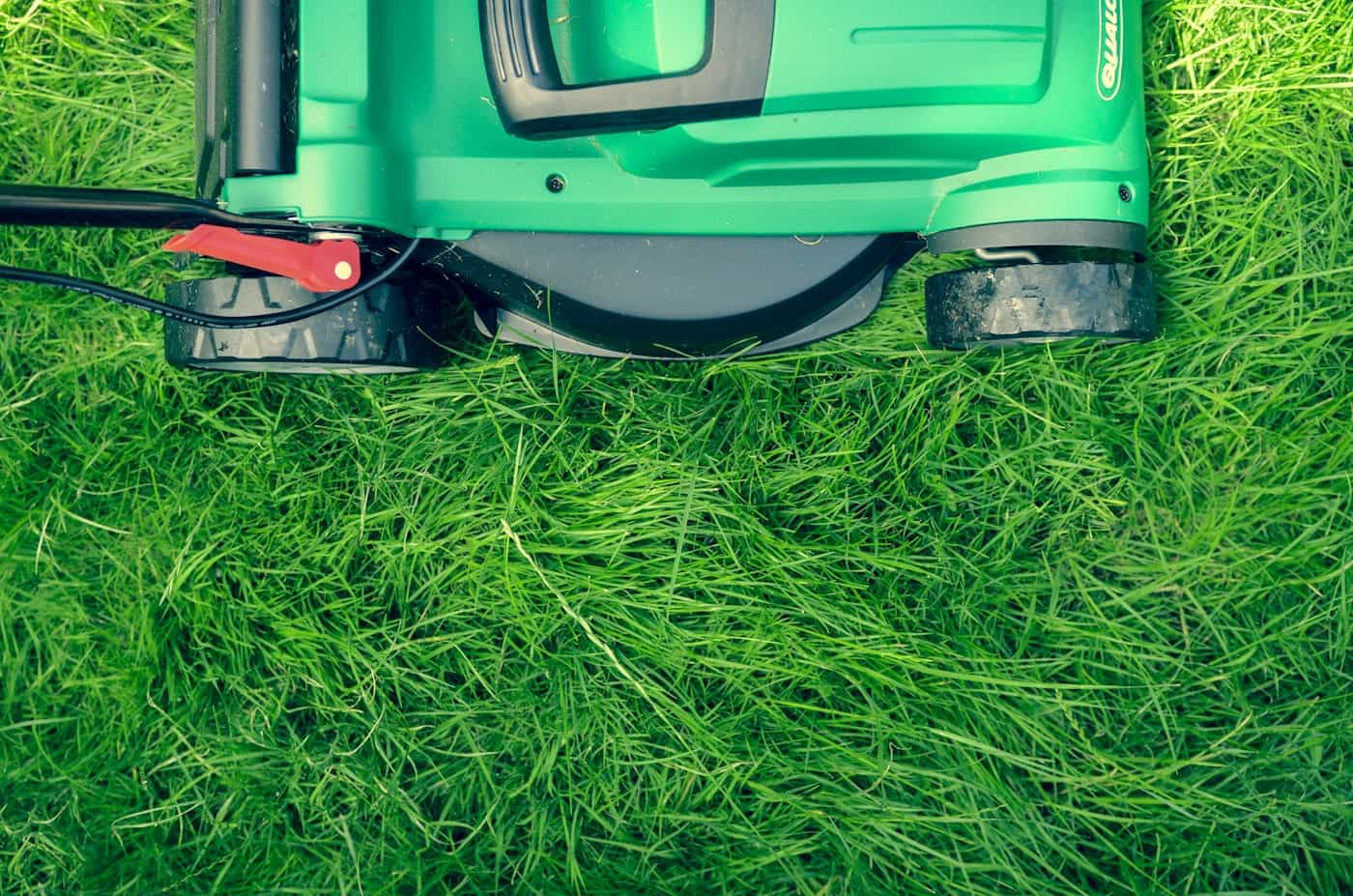 Green and black lawn mower sitting on freshly cut grass