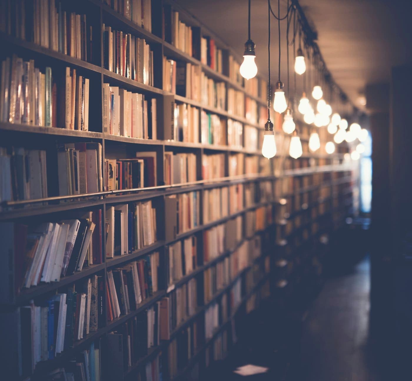 Densely packed bookstore shelves seen from a low angle